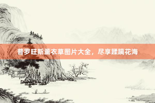 普罗旺斯薰衣草图片大全，尽享蹂躏花海
