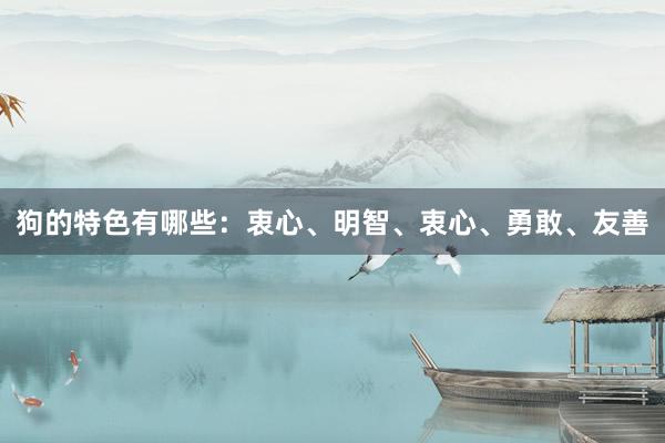 狗的特色有哪些:衷心、明智、衷心、勇敢、友善