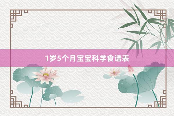 1岁5个月宝宝科学食谱表